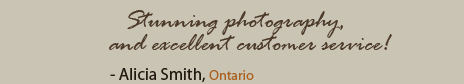 Quote from Alicia Smith: Stunning photography, and excellent customer service!