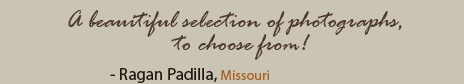 Quote from Ragan Padilla: A beautiful selection of photographs to choose from!