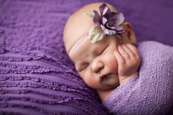 Jennifer Blakeley Photography