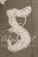 Alphabet Photography Number 5