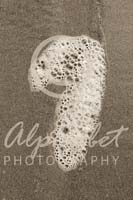 Alphabet Photography Number 7