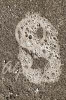 Alphabet Photography Number 8