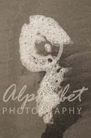 Alphabet Photography Number 9