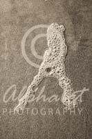 Alphabet Photography Letter A                                          