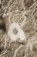 Alphabet Photography Letter A                                          