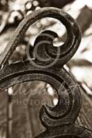 Alphabet Photography Letter B                                          