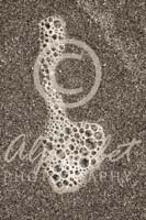 Alphabet Photography Letter B                                          