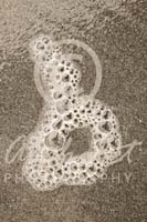 Alphabet Photography Letter B                                          