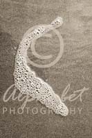 Alphabet Photography Letter C                                          