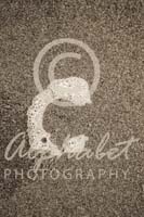 Alphabet Photography Letter C                                          