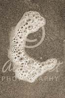 Alphabet Photography Letter C                                          