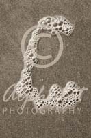 Alphabet Photography Letter C                                          