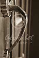 Alphabet Photography Letter D                                          