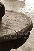Alphabet Photography Letter D                                          