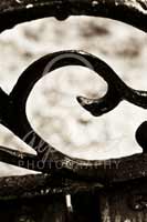 Alphabet Photography Letter E                                          