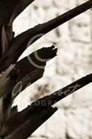 Alphabet Photography Letter E                                          