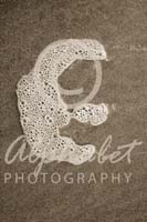 Alphabet Photography Letter E                                          