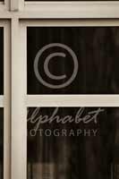 Alphabet Photography Letter F                                          