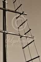 Alphabet Photography Letter F                                          