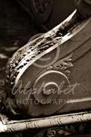 Alphabet Photography Letter G                                          