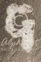 Alphabet Photography Letter G                                          