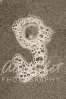 Alphabet Photography Letter G                                          