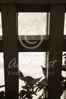 Alphabet Photography Letter H                                          