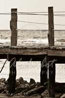 Alphabet Photography Letter H                                          