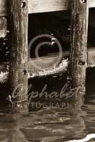 Alphabet Photography Letter H                                          