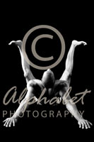 Alphabet Photography Letter H                                          