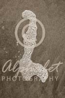 Alphabet Photography Letter H                                          