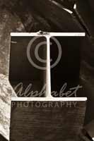 Alphabet Photography Letter I                                          