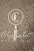 Alphabet Photography Letter I                                          