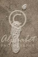 Alphabet Photography Letter I                                          