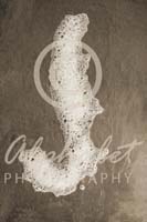 Alphabet Photography Letter J                                          