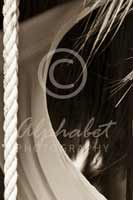 Alphabet Photography Letter K                                          