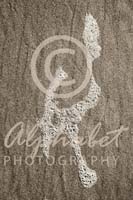 Alphabet Photography Letter K                                          