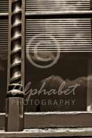 Alphabet Photography Letter L                                          