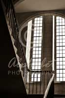 Alphabet Photography Letter L                                          