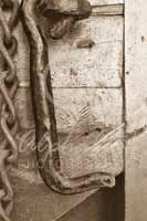 Alphabet Photography Letter L                                          