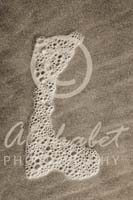 Alphabet Photography Letter L                                          