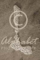 Alphabet Photography Letter L                                          