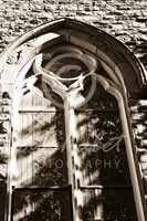 Alphabet Photography Letter M                                          