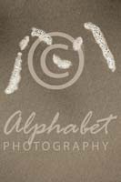 Alphabet Photography Letter M                                          