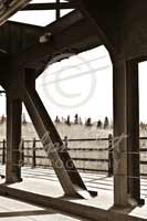 Alphabet Photography Letter N                                          