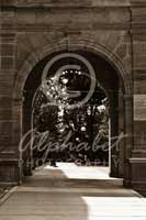 Alphabet Photography Letter N                                          