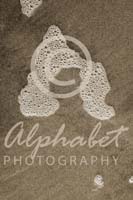 Alphabet Photography Letter N                                          