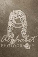 Alphabet Photography Letter N                                          