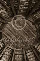 Alphabet Photography Letter O                                          