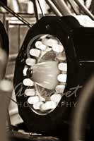 Alphabet Photography Letter O                                          